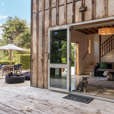 Beech Hill - Pet Friendly Holiday Home Tasman Exteriör bild