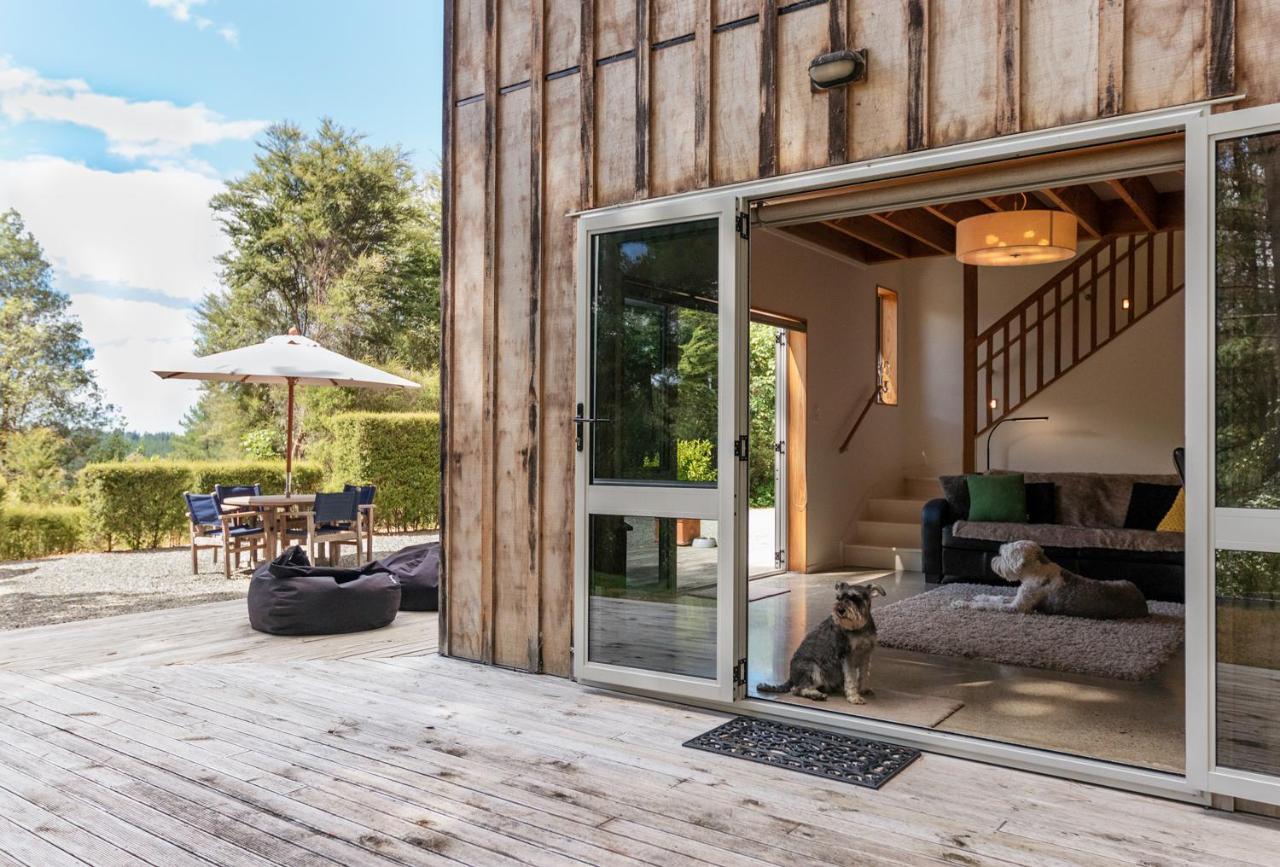 Beech Hill - Pet Friendly Holiday Home Tasman Exteriör bild