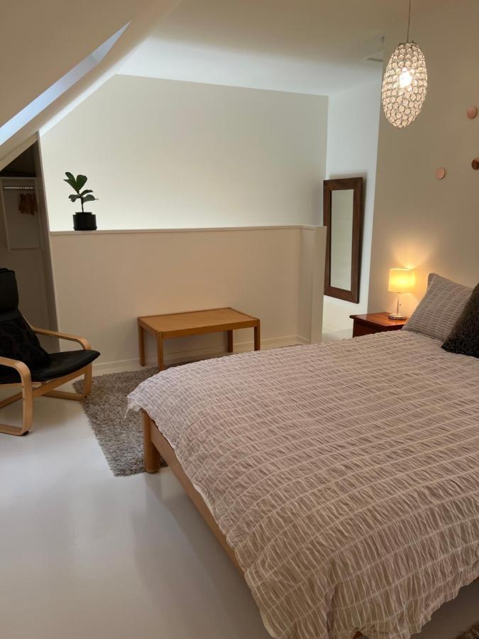 Beech Hill - Pet Friendly Holiday Home Tasman Exteriör bild