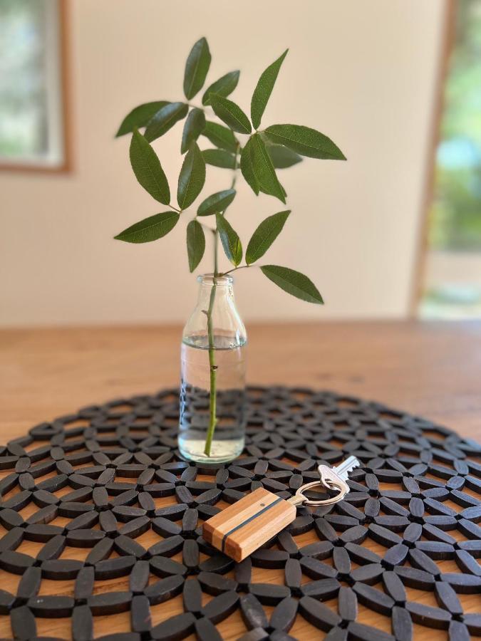 Beech Hill - Pet Friendly Holiday Home Tasman Exteriör bild