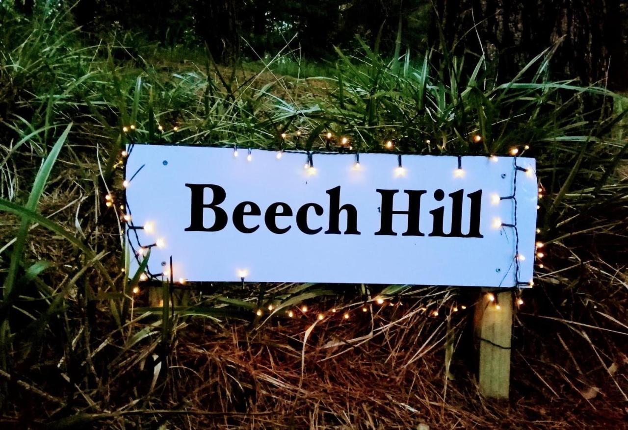 Beech Hill - Pet Friendly Holiday Home Tasman Exteriör bild