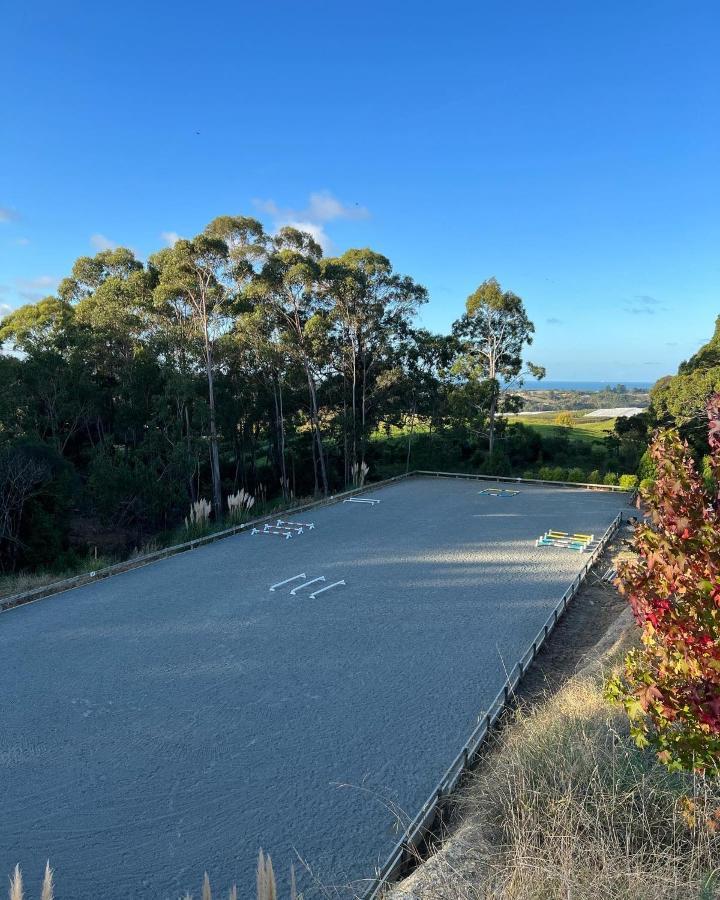 Beech Hill - Pet Friendly Holiday Home Tasman Exteriör bild