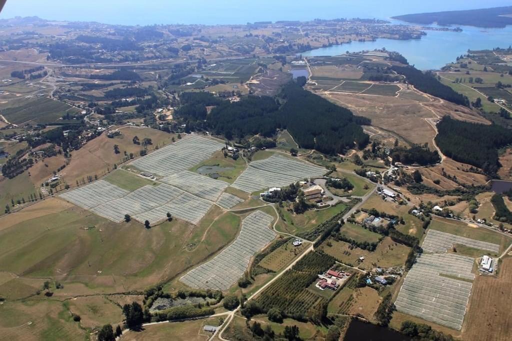 Beech Hill - Pet Friendly Holiday Home Tasman Exteriör bild