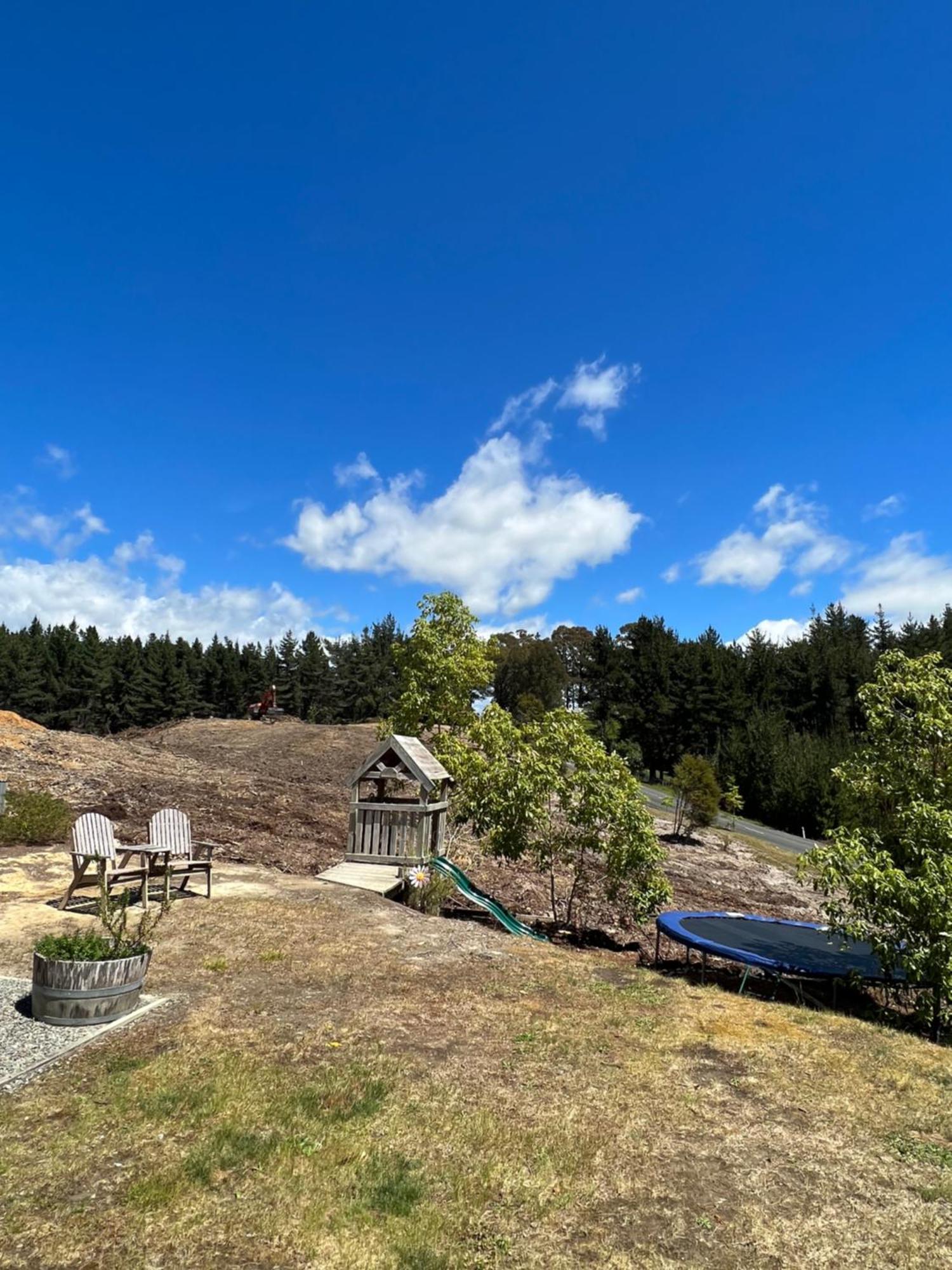 Beech Hill - Pet Friendly Holiday Home Tasman Exteriör bild